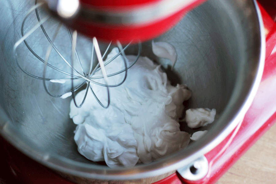 Coconut Whipped Cream Mixer