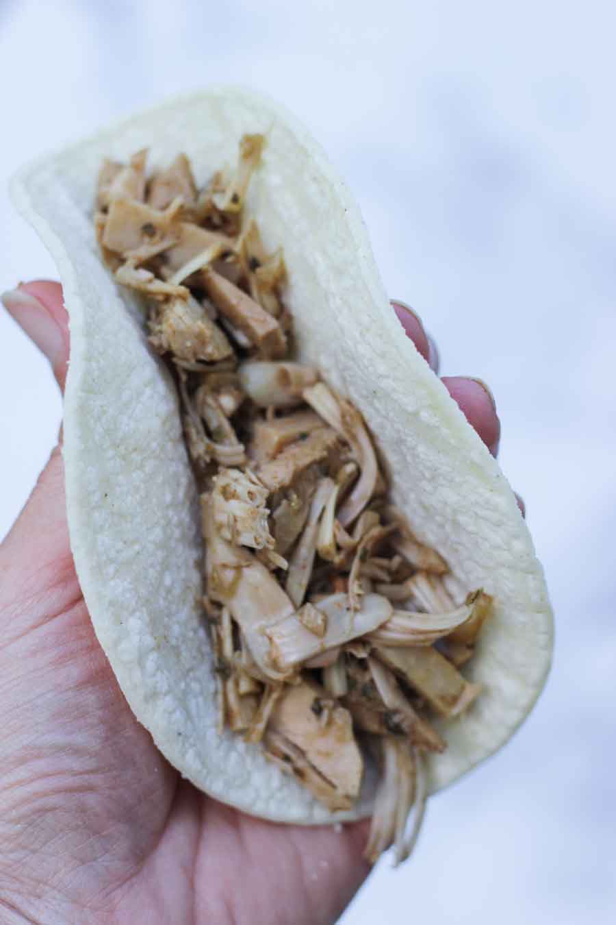 Jackfruit in corn tortilla