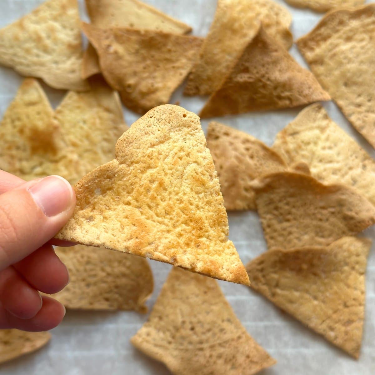 Chickpea flour tortilla chip held up in front of a sheet of more baked chickpea flour tortillas chips.
