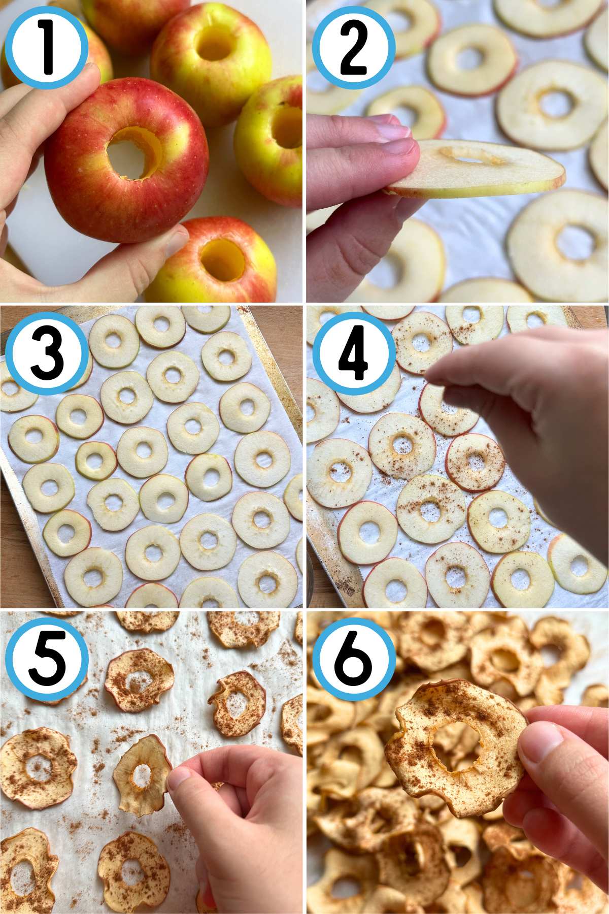Step by step guide to dehydrating apples in the oven. 1. Core apples. 2. Slice apples into ⅛ inch thick slices. 3. Lay slices in an even layer. 4. Sprinkle cinnamon on top. 5. Flip after 90 minutes of baking. 6. Remove from oven after another 30 minutes and let cool on baking sheet until crispy.