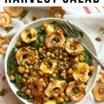 Bowl of vegan fall harvest falad with roasted chickpeas, apple chips, pepitas, and maple Dijon vinaigrette.