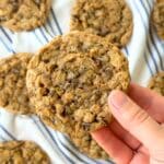 Vegan oatmeal chocolate chip cookie in a hand with more in the background on a blue and white cloth.