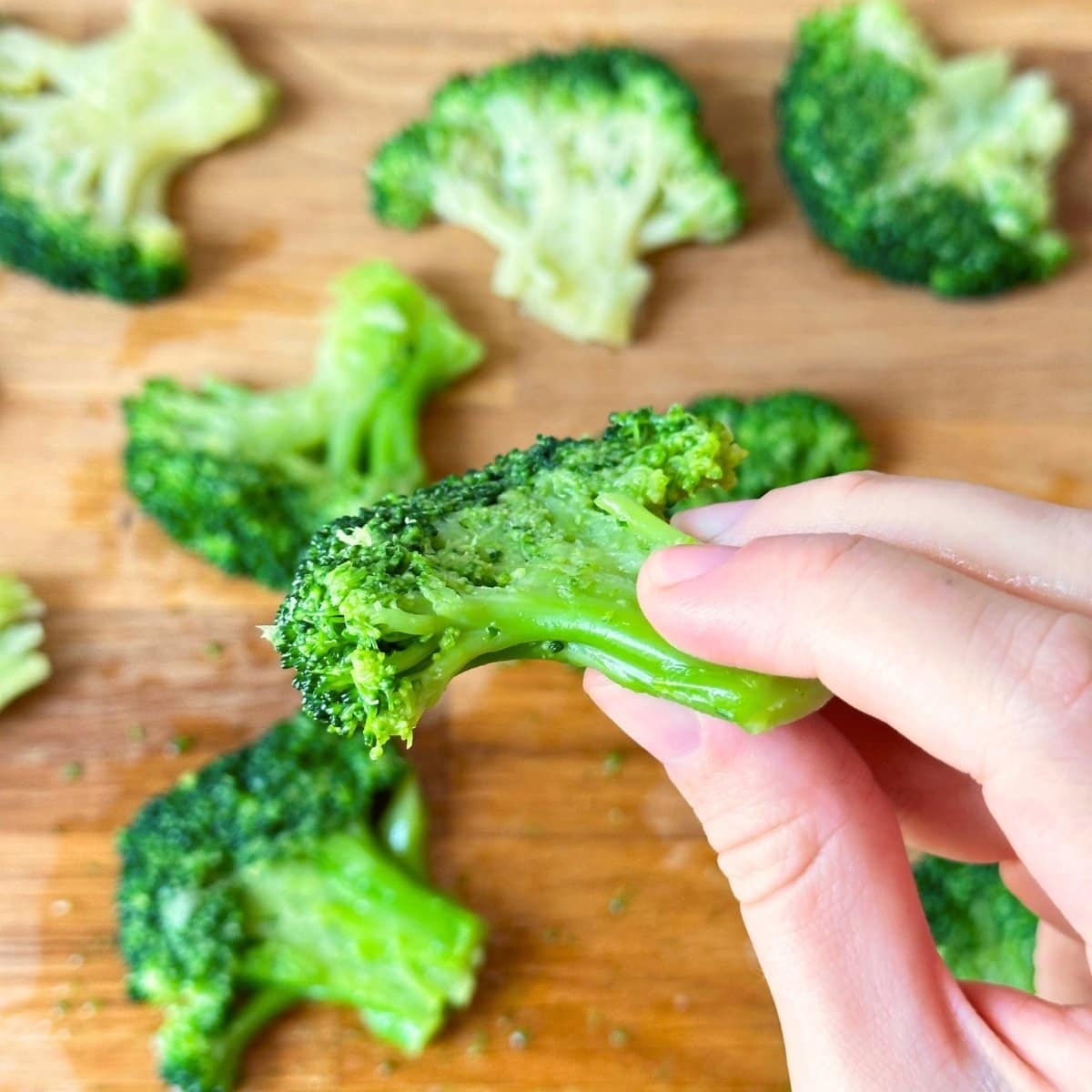 Hand holding a smashed broccoli floret to the side to show the thin side.