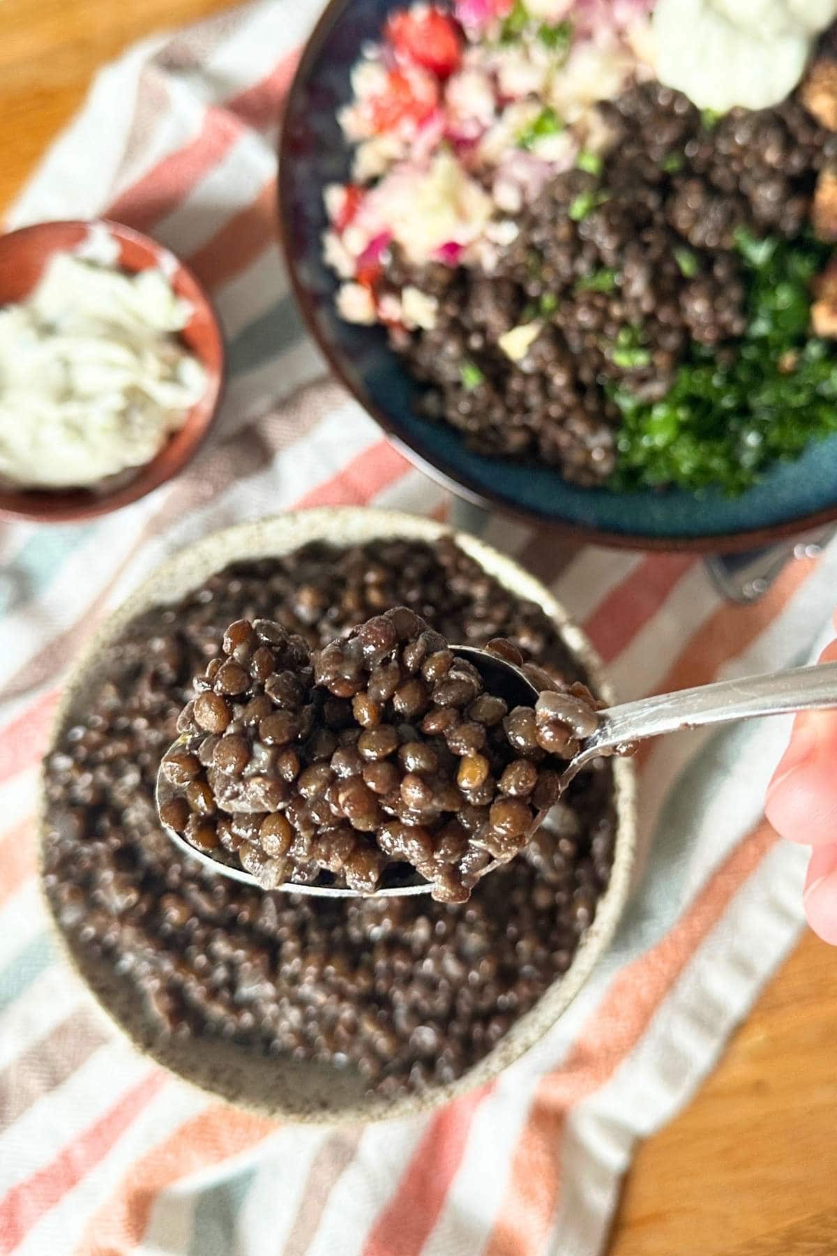 Spoonful of black lentils with a bowl of black lentils in the background as well as a Mediterranean grain bowl and vegan tzatziki.
