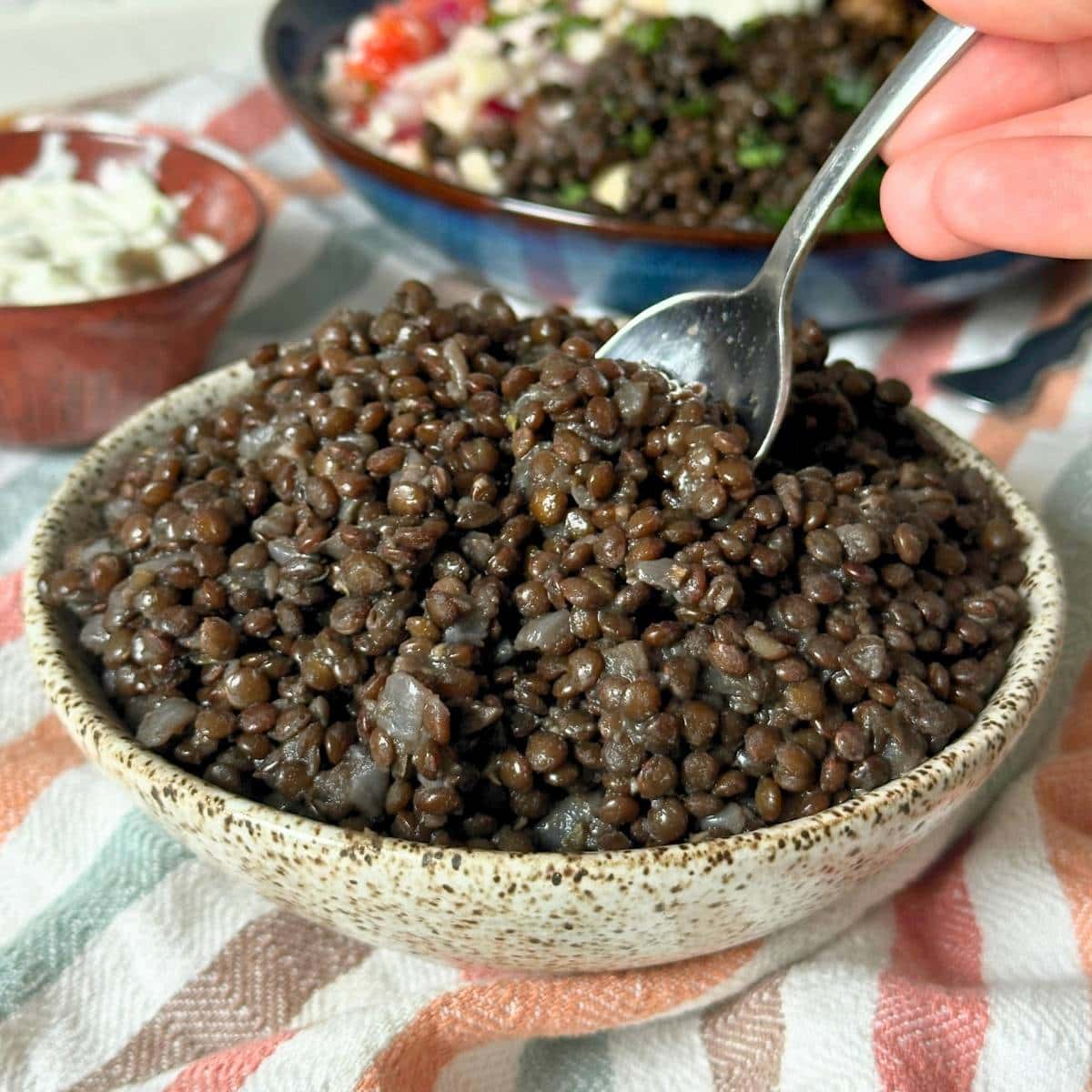 Cream colored ceramic bowl filled with black lentils with onion, a spoon is digging into the lentils and a Mediterranean grain bowl with black lentils is in the background.