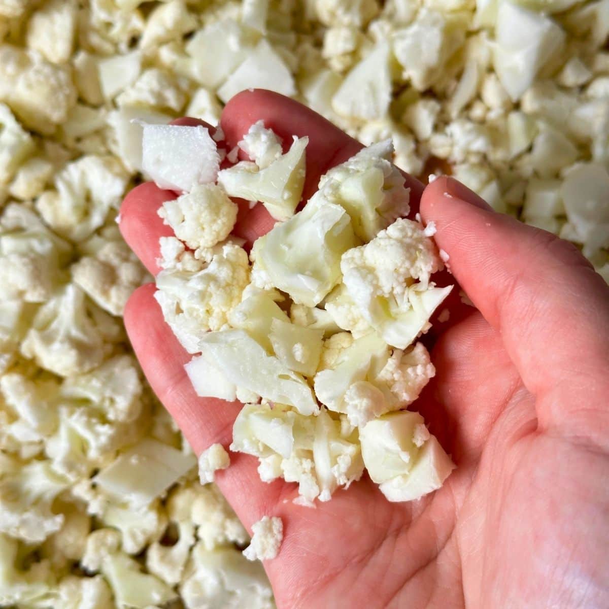 Cauliflower florets chopped into small pieces.