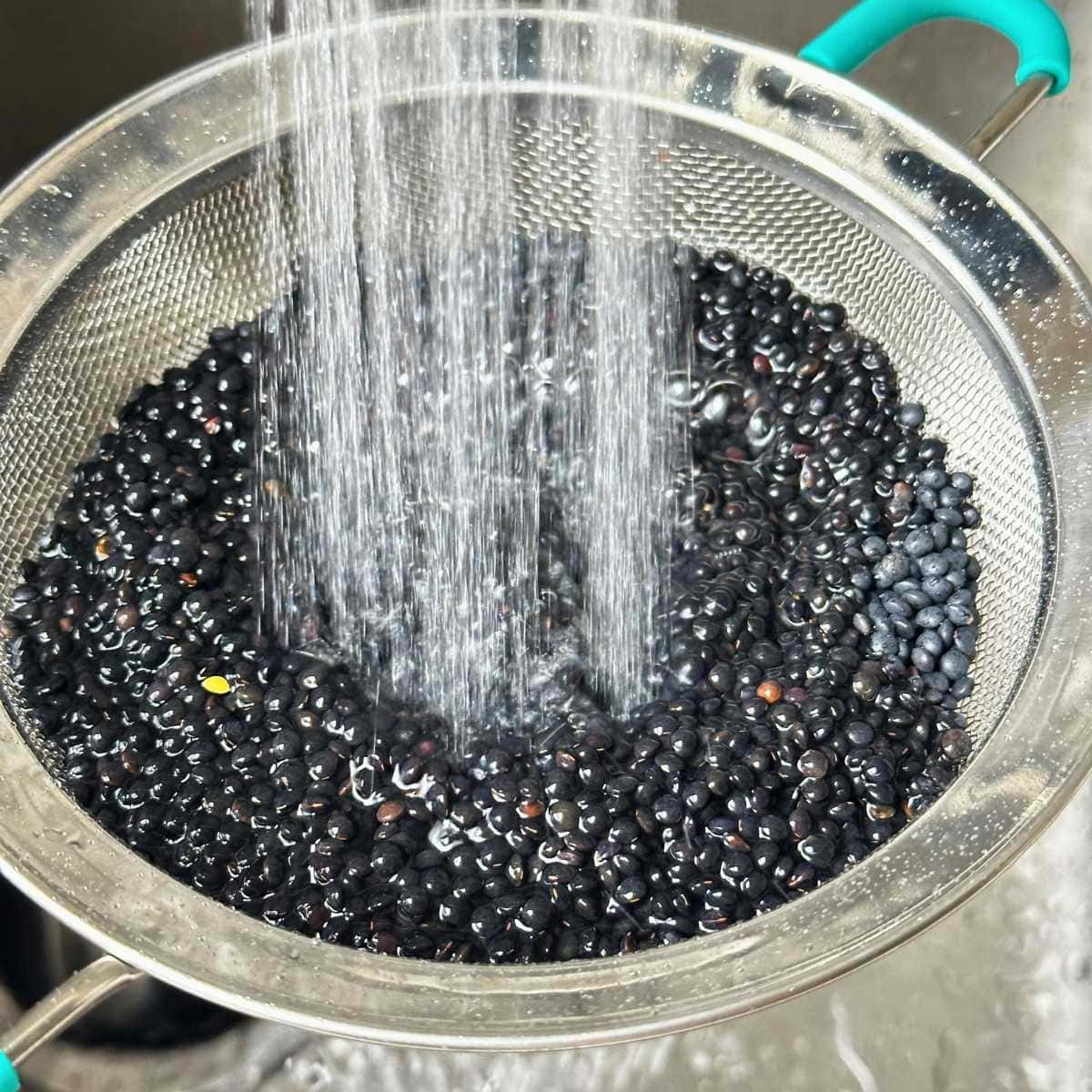 Rinsing black lentils in a fine mesh strainer under running water.