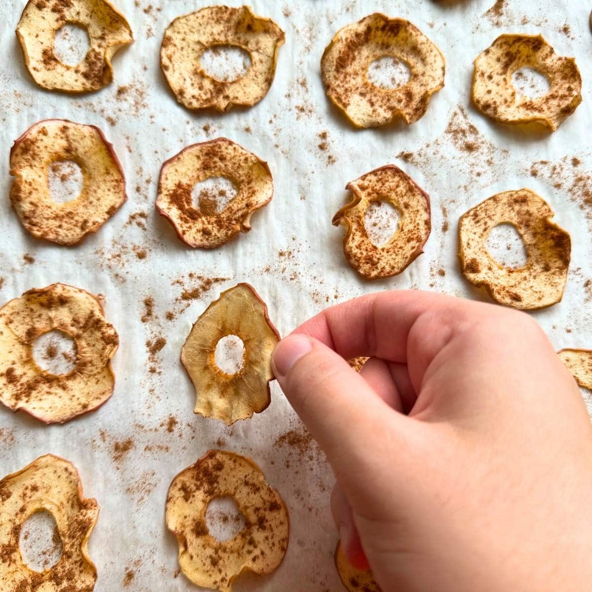 Hand flipping apple chips on a baking sheet.