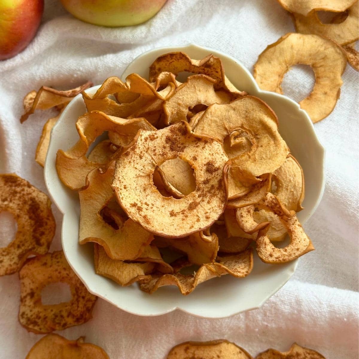 Bowl filled with oven baked apple chips with cinnamon on top.