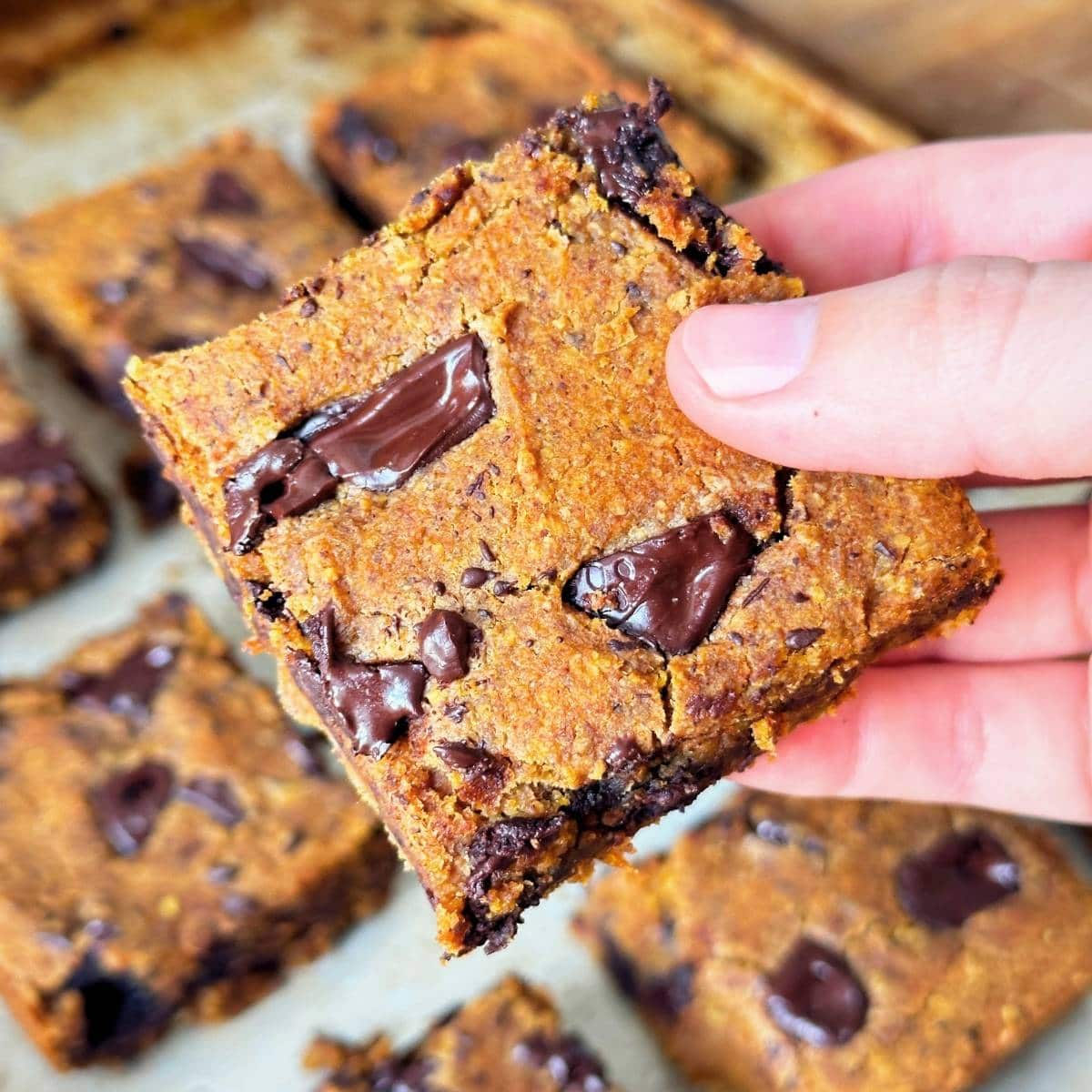 Square of pumpkin chickpea blondie with dark chocolate chunks, more vegan blondies are in the background on a sheet pan.