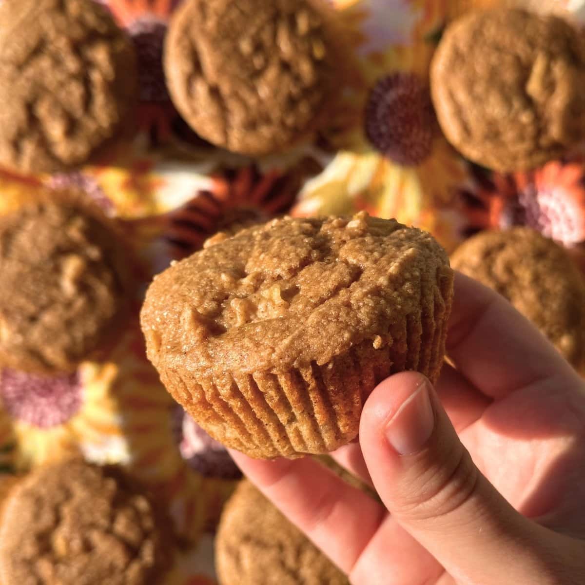 Hand holding a baked golden brown vegan apple muffin with more 3 ingredient apple muffins in the background.