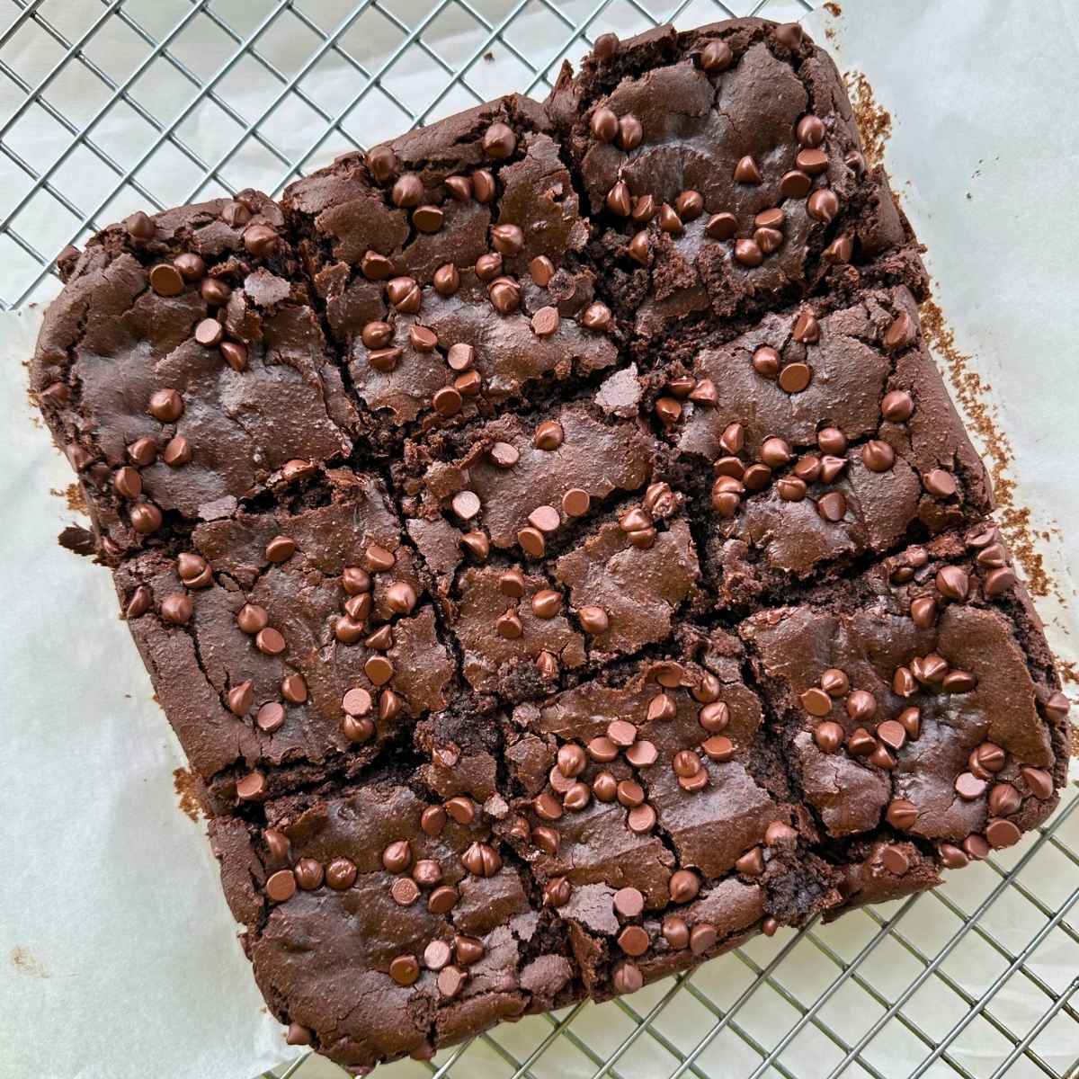 Baked chickpea brownies cut into 9 squares with lots of mini chocolate chips on top.
