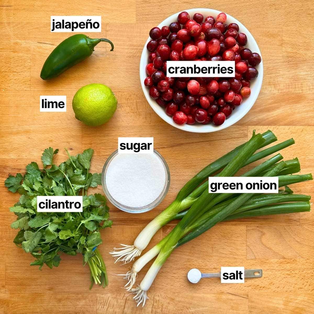 Ingredients needed to make cranberry salsa with corresponding labels: jalapeño, cranberries, lime, sugar, cilantro, green onions, and salt.