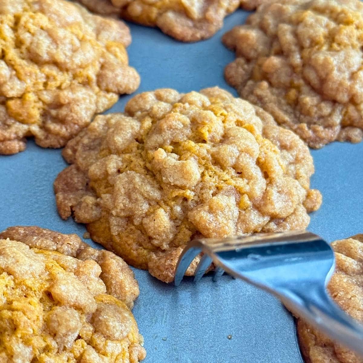 Pushing baked streusel topping together with a fork while muffins are still in the muffin tin.