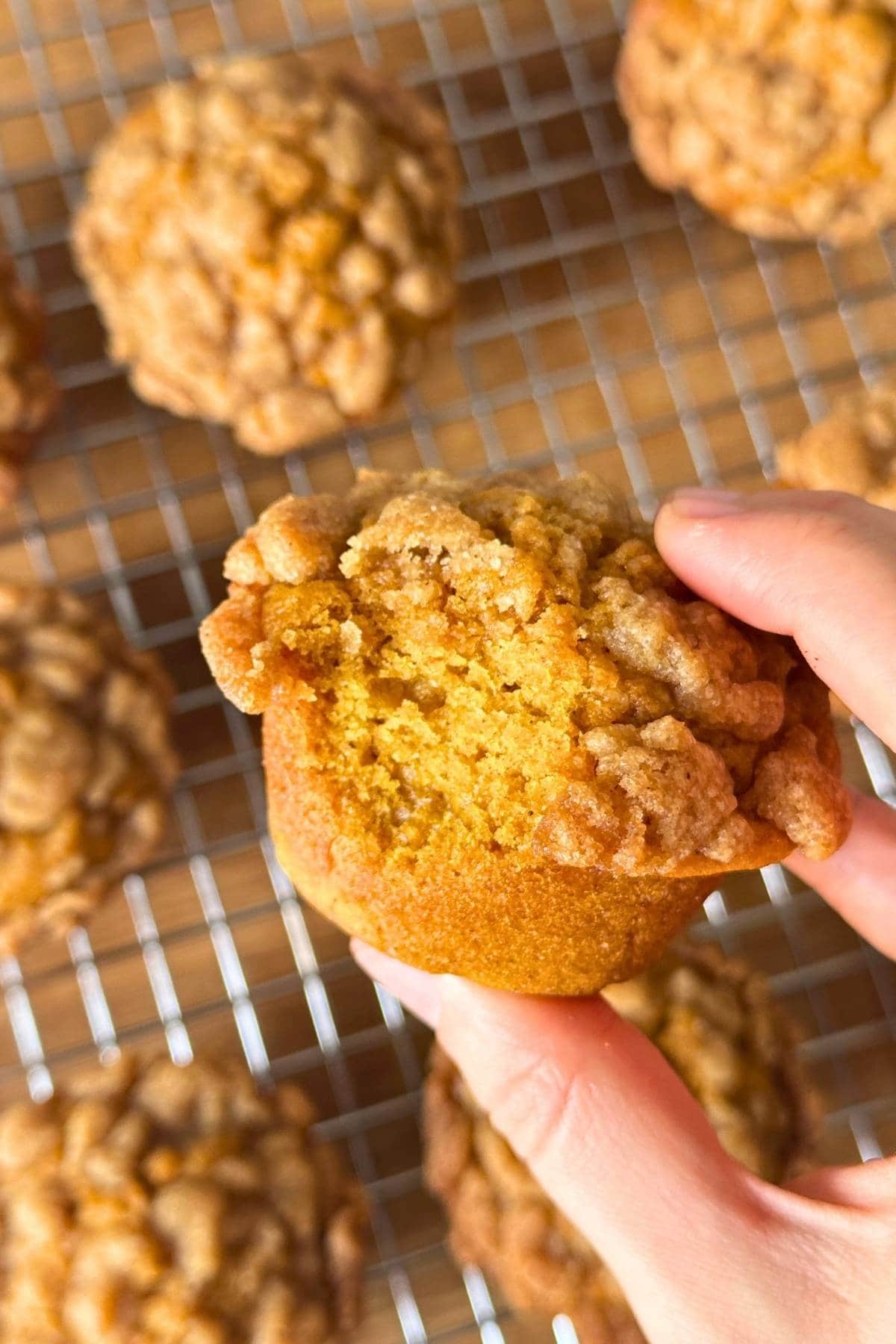 Fluffy vegan pumpkin muffin with streusel with a bite taken out of it.